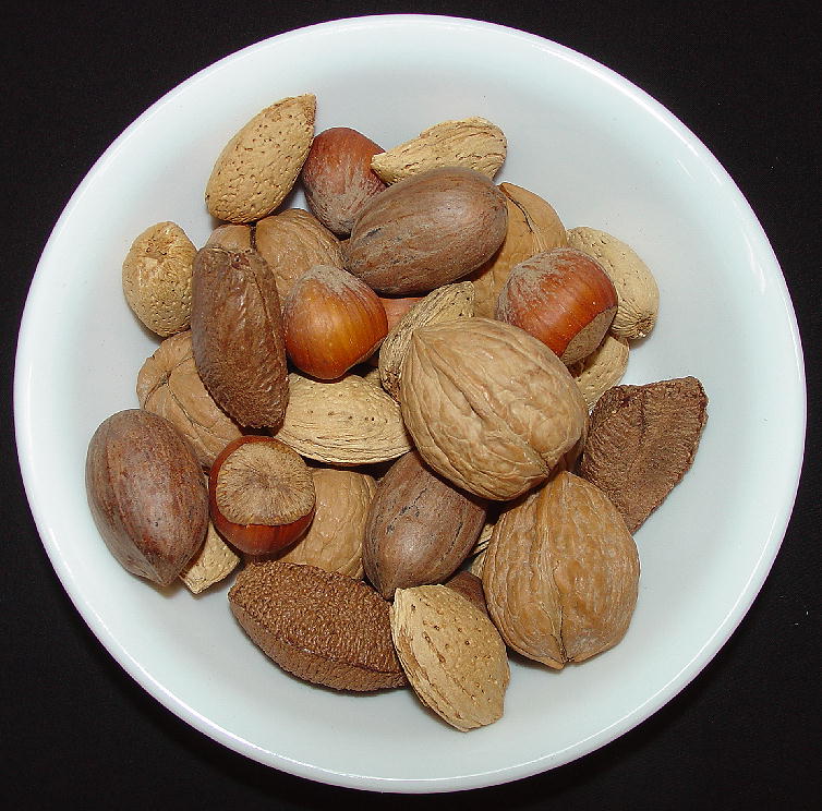 ***NEW**Parrot Island's Own: Deluxe Mixed Nuts - in Shell